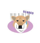 Shiba Sherry（個別スタンプ：22）
