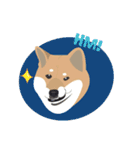 Shiba Sherry（個別スタンプ：23）