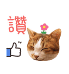 Mila Kitten（個別スタンプ：4）