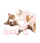 Mila Kitten（個別スタンプ：7）