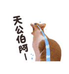 Mila Kitten（個別スタンプ：23）
