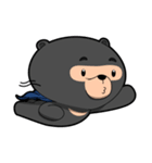 Bedu - Beruang Madu（個別スタンプ：37）