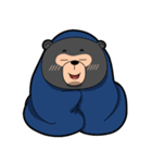 Bedu - Beruang Madu（個別スタンプ：39）