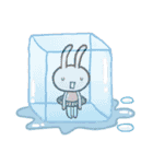 Lumi the Rabbit（個別スタンプ：17）