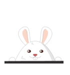 Daily Cute Rabbit（個別スタンプ：16）