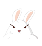 Daily Cute Rabbit（個別スタンプ：23）