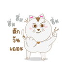 happy fat cat（個別スタンプ：26）