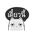Kai-Guan is a cat（個別スタンプ：11）