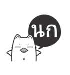 Kai-Guan is a cat（個別スタンプ：17）