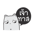 Kai-Guan is a cat（個別スタンプ：20）