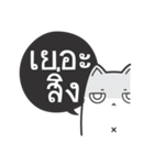 Kai-Guan is a cat（個別スタンプ：29）