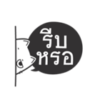 Kai-Guan is a cat（個別スタンプ：35）