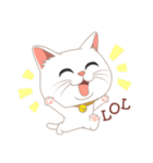 What a cute cat（個別スタンプ：17）