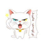 What a cute cat（個別スタンプ：23）