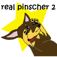[LINEスタンプ] real pinscher 2