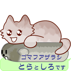 [LINEスタンプ] ネコさんの日常会話