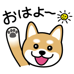 [LINEスタンプ] Cute！ 柴犬スタンプの画像（メイン）