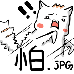 [LINEスタンプ] Funny Cat~meow