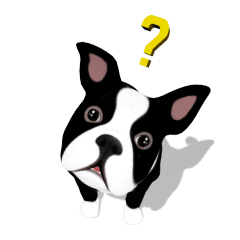 [LINEスタンプ] かわいい子犬 ボストン テリア