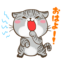 [LINEスタンプ] しゅんちゃんの毎日休日