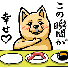 [LINEスタンプ] 動く！マメ柴カットのポメラニアン