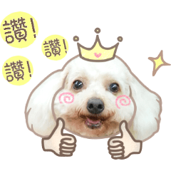 [LINEスタンプ] Cream Poodle - Niou Niou