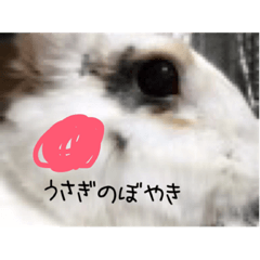 [LINEスタンプ] Gripe of the rabbit.