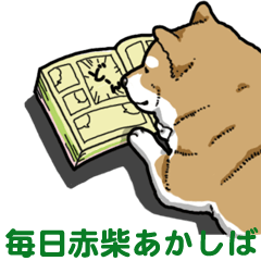 [LINEスタンプ] 毎日赤柴あかしば