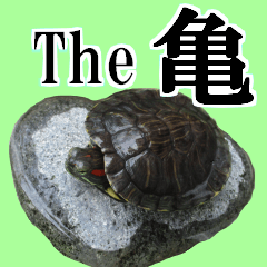 [LINEスタンプ] The 亀