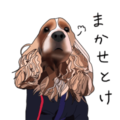 [LINEスタンプ] イングリッシュ・コッカ―スパニエルの日常