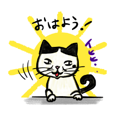 [LINEスタンプ] 個性豊かなぶさ猫さん達