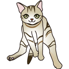 [LINEスタンプ] 茶猫みら