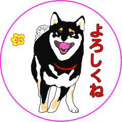 [LINEスタンプ] 「黒柴くんでーす」パート4；やんちゃです