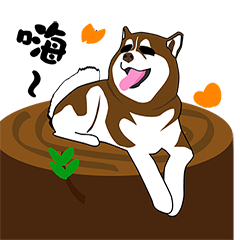 [LINEスタンプ] Funny Huskies