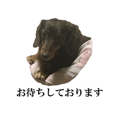 [LINEスタンプ] リアル麻呂スタンプ