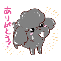 [LINEスタンプ] 黒トイプードル"POP"の元気な日常♪