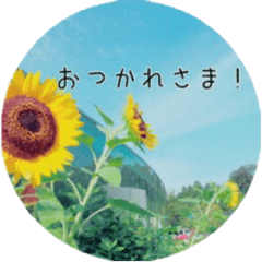 [LINEスタンプ] お花のあるくらし