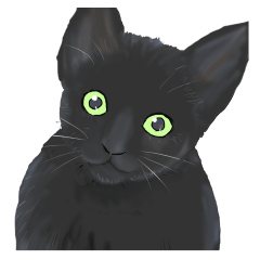 [LINEスタンプ] ある黒猫のスタンプの画像（メイン）
