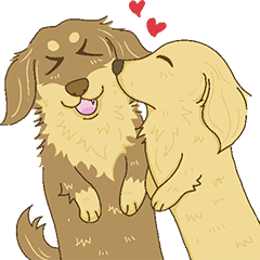 [LINEスタンプ] Dachshunds Collectors