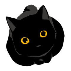 [LINEスタンプ] 淡泊きまぐれな黒猫の画像（メイン）