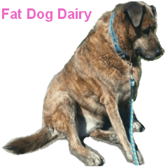 [LINEスタンプ] Fat Dog Dairyの画像（メイン）