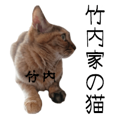 [LINEスタンプ] 竹内家の猫の画像（メイン）