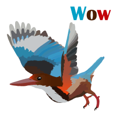 [LINEスタンプ] Taiwan wild bird series_1 by Gerald Her