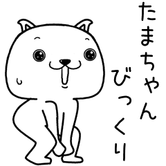 [LINEスタンプ] たまちゃんに送るスタンプ