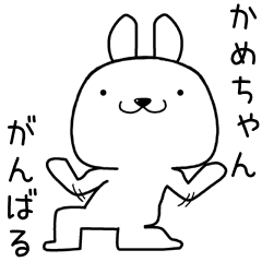 [LINEスタンプ] かめちゃんに送るスタンプ