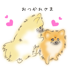 [LINEスタンプ] 京都わんこ ちゅろ＆ぱたた(ポメラニアン)