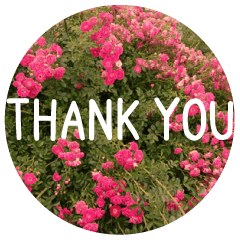 [LINEスタンプ] 花と共に「ありがとう」を伝えるスタンプの画像（メイン）