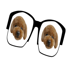 [LINEスタンプ] mashimadog Stickerの画像（メイン）