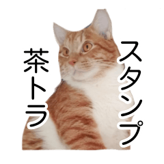 [LINEスタンプ] 我が家の茶トラスタンプ