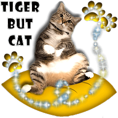 [LINEスタンプ] Tiger But Cat ~ Part 1